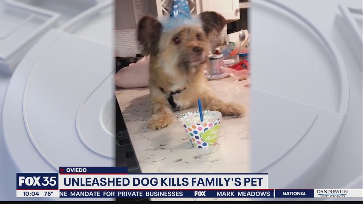 Woman wants answers after dog is mauled to death